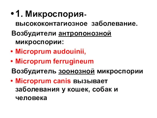 1. Микроспория- высококонтагиозное заболевание. Возбудители антропонозной микроспории: Microprum audouinii, Microprum