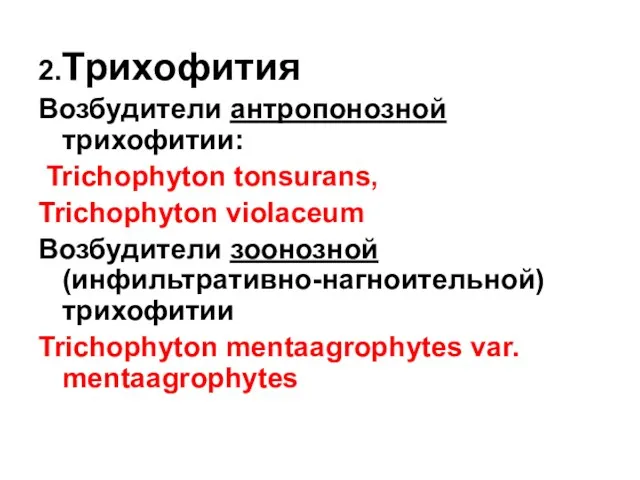 2.Трихофития Возбудители антропонозной трихофитии: Trichophyton tonsurans, Trichophyton violaceum Возбудители зоонозной (инфильтративно-нагноительной) трихофитии Trichophyton mentaagrophytes var. mentaagrophytes