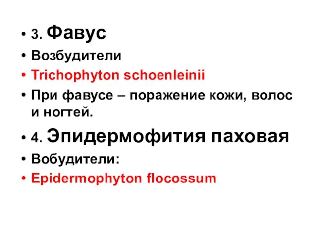 3. Фавус Возбудители Trichophyton schoenleinii При фавусе – поражение кожи,