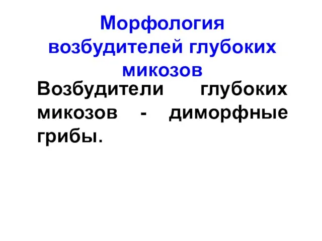 Морфология возбудителей глубоких микозов Возбудители глубоких микозов - диморфные грибы.