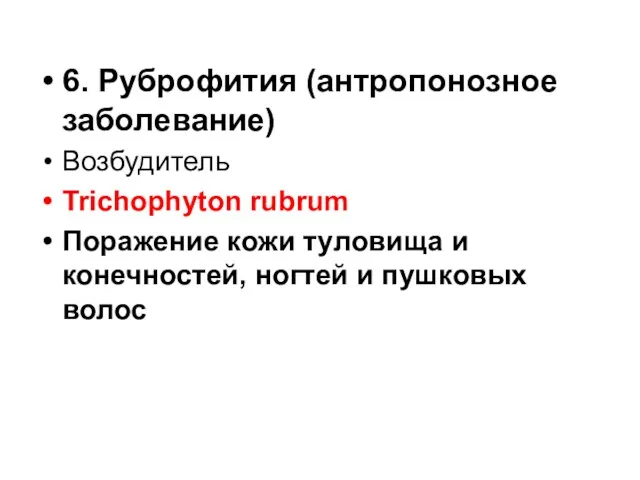 6. Руброфития (антропонозное заболевание) Возбудитель Trichophyton rubrum Поражение кожи туловища и конечностей, ногтей и пушковых волос