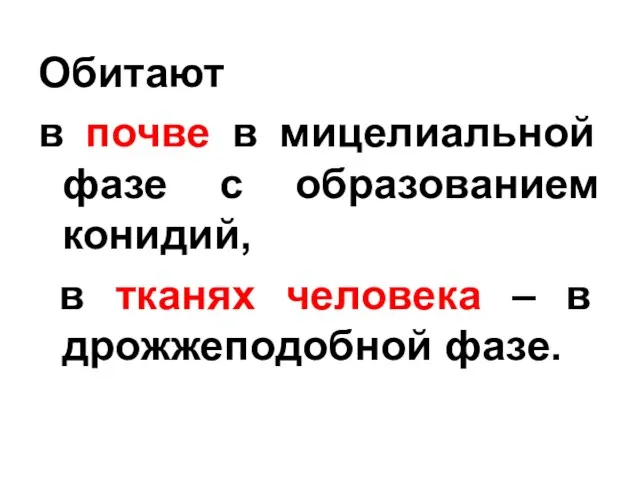 Обитают в почве в мицелиальной фазе с образованием конидий, в тканях человека – в дрожжеподобной фазе.