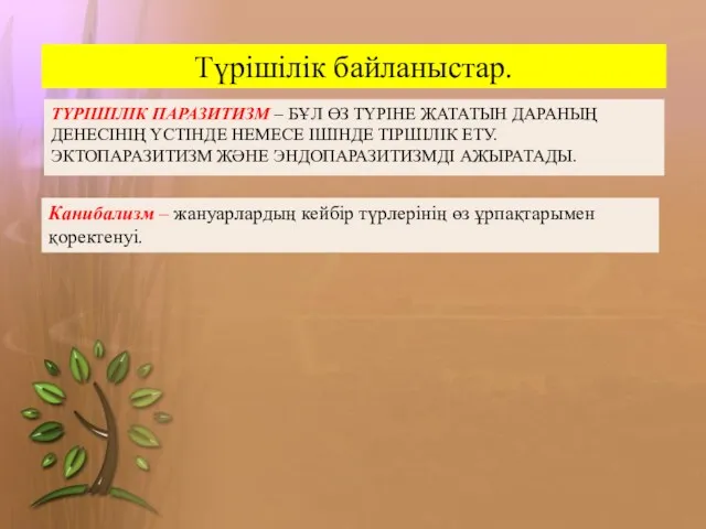 ТҮРІШІЛІК ПАРАЗИТИЗМ – БҰЛ ӨЗ ТҮРІНЕ ЖАТАТЫН ДАРАНЫҢ ДЕНЕСІНІҢ ҮСТІНДЕ