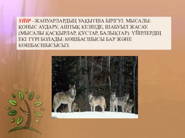 ҮЙІР –ЖАНУАРЛАРДЫҢ УАҚЫТША БІРІГУІ. МЫСАЛЫ: ҚОНЫС АУДАРУ, АШТЫҚ КЕЗІНДЕ, ШАБУЫЛ