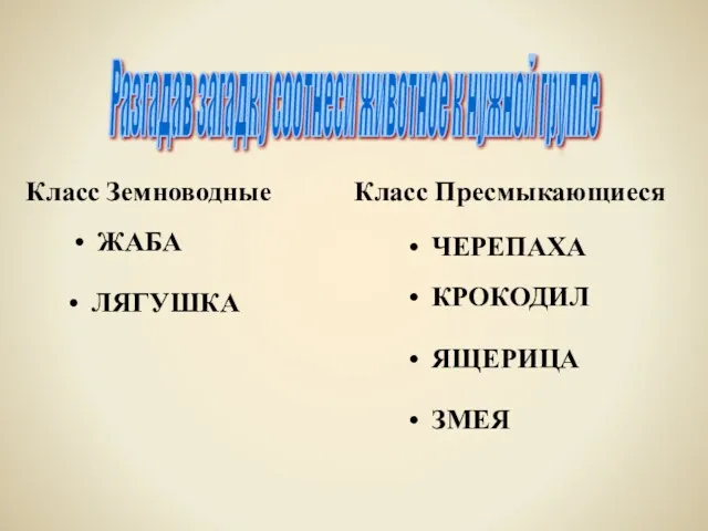 Разгадав загадку соотнеси животное к нужной группе ЖАБА Класс Земноводные