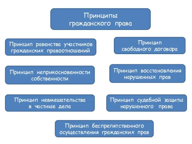 Принципы гражданского права Принцип равенства участников гражданских правоотношений Принцип беспрепятственного