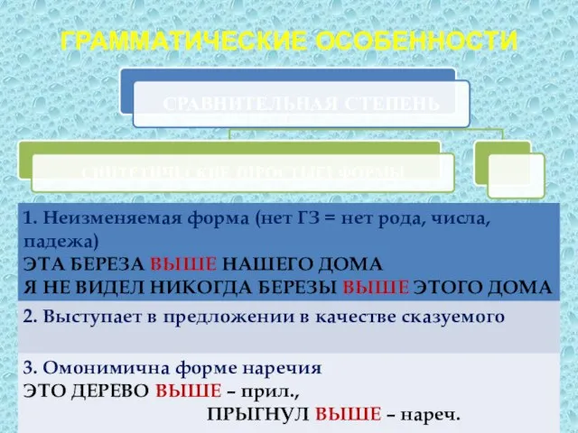 ГРАММАТИЧЕСКИЕ ОСОБЕННОСТИ