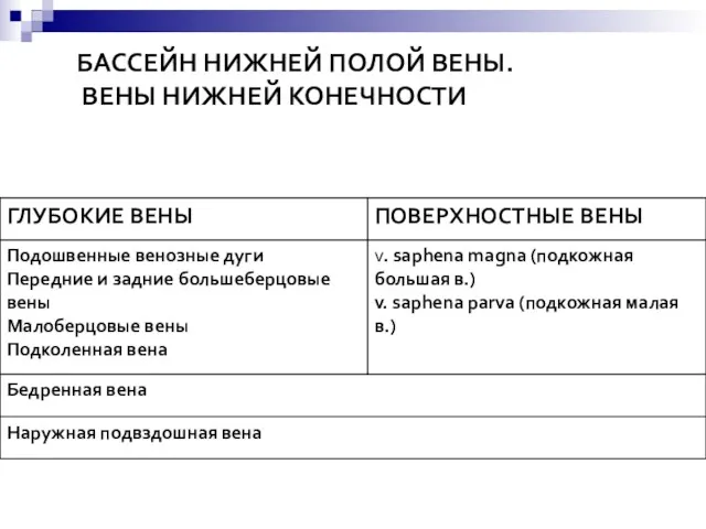 БАССЕЙН НИЖНЕЙ ПОЛОЙ ВЕНЫ. ВЕНЫ НИЖНЕЙ КОНЕЧНОСТИ