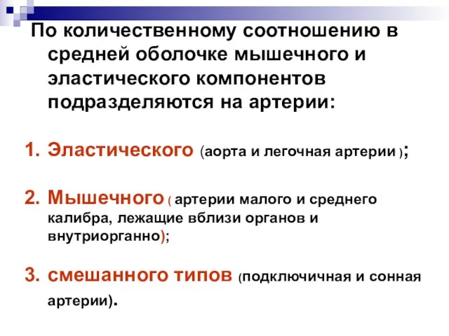 По количественному соотношению в средней оболочке мышечного и эластического компонентов