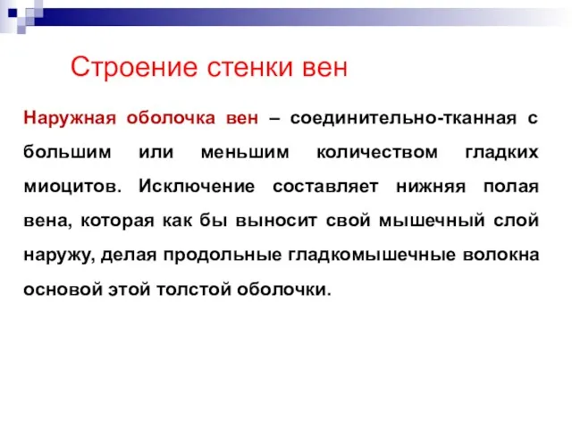 Наружная оболочка вен – соединительно-тканная с большим или меньшим количеством