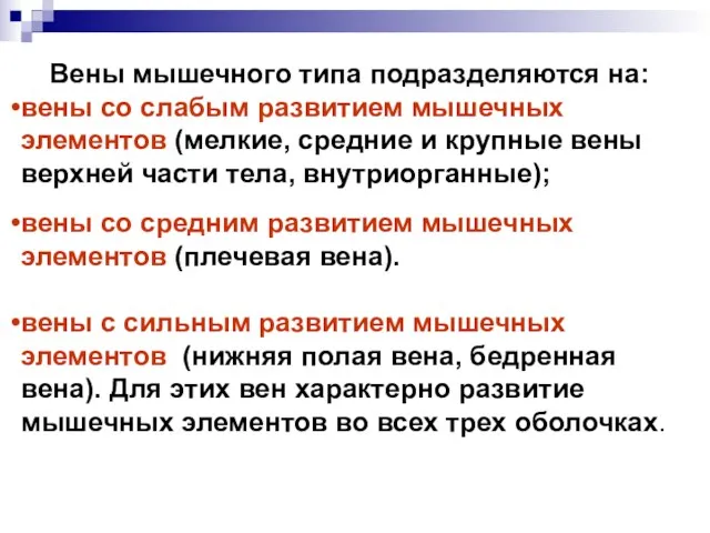 Вены мышечного типа подразделяются на: вены со слабым развитием мышечных