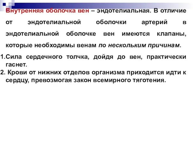 Внутренняя оболочка вен – эндотелиальная. В отличие от эндотелиальной оболочки