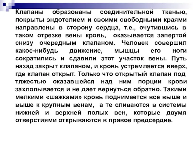 Клапаны образованы соединительной тканью, покрыты эндотелием и своими свободными краями