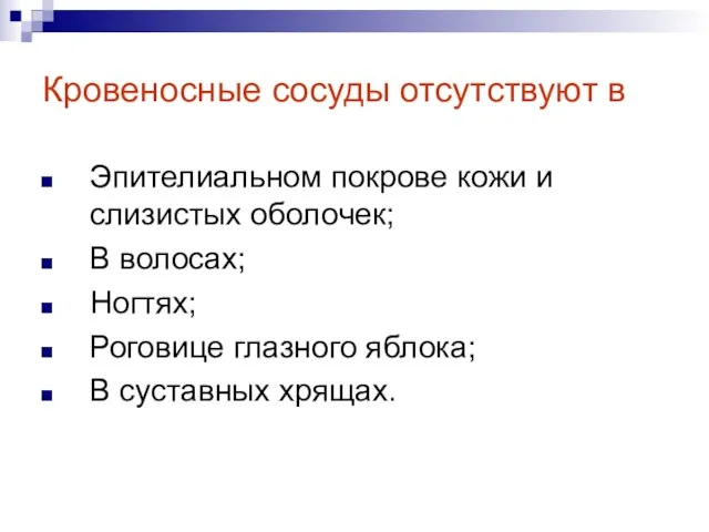 Кровеносные сосуды отсутствуют в Эпителиальном покрове кожи и слизистых оболочек;