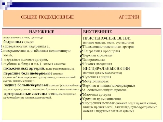 ОБЩИЕ ПОДВЗДОШНЫЕ АРТЕРИИ