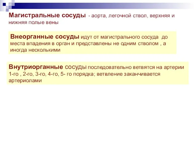 Магистральные сосуды - аорта, легочной ствол, верхняя и нижняя полые