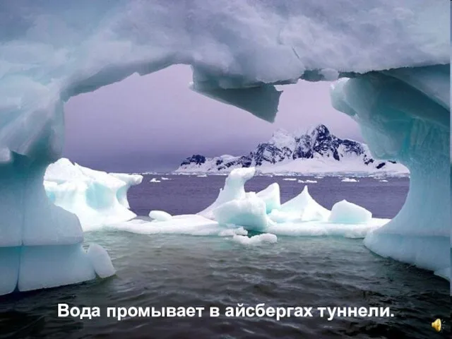 Вода промывает в айсбергах туннели.