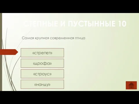 Самая крупная современная птица СТЕПНЫЕ И ПУСТЫННЫЕ 10 «стрепет» «дрофа» «страус» «нанду»