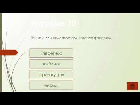 Птица с длинным хвостом, которая трясет им Луговые 30 «перепел» «зяблик» «трясогузка» «чибис»