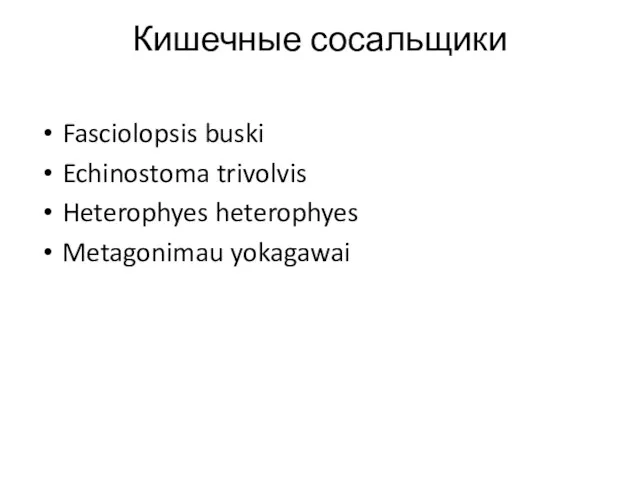 Кишечные сосальщики Fasciolopsis buski Echinostoma trivolvis Heterophyes heterophyes Metagonimau yokagawai