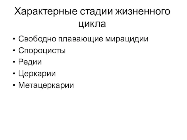 Характерные стадии жизненного цикла Свободно плавающие мирацидии Спороцисты Редии Церкарии Метацеркарии