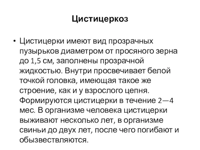 Цистицеркоз Цистицерки имеют вид прозрачных пузырьков диаметром от просяного зерна