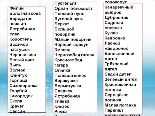 Филин Болотная сова Бородатая неясыть Ястребиная сова Коростель Водяной пастушок