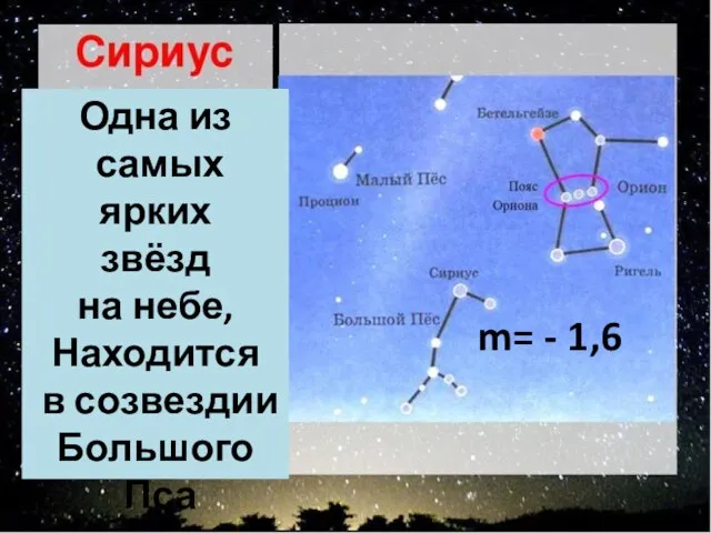 Сириус m= - 1,6 Одна из самых ярких звёзд на небе, Находится в созвездии Большого Пса