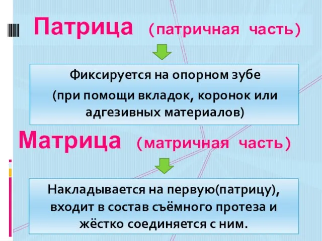 Фиксируется на опорном зубе (при помощи вкладок, коронок или адгезивных