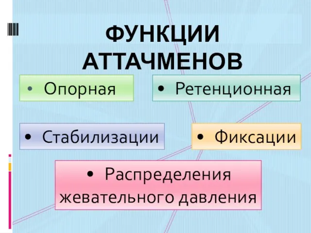 Опорная ФУНКЦИИ АТТАЧМЕНОВ Ретенционная Стабилизации Фиксации Распределения жевательного давления