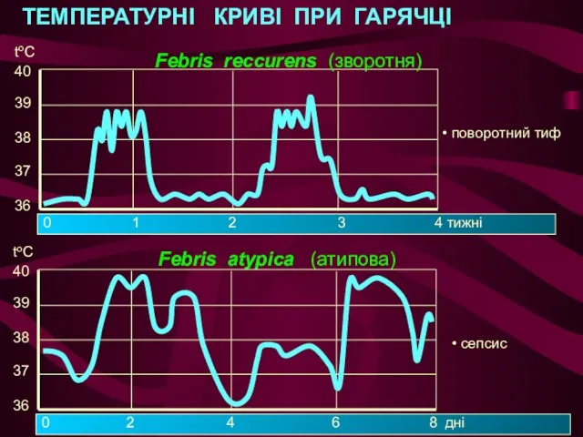 ТЕМПЕРАТУРНІ КРИВІ ПРИ ГАРЯЧЦІ