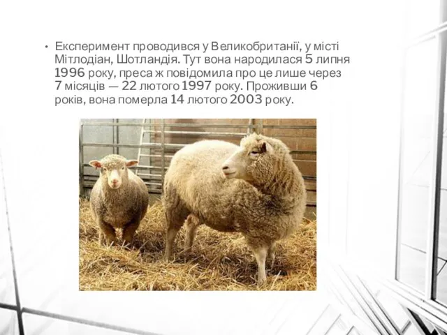 Експеримент проводився у Великобританії, у місті Мітлодіан, Шотландія. Тут вона