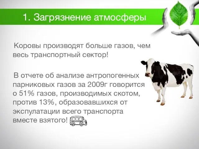 1. Загрязнение атмосферы Коровы производят больше газов, чем весь транспортный сектор! В отчете