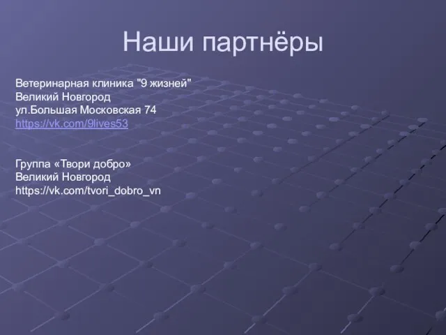 Наши партнёры Ветеринарная клиника "9 жизней" Великий Новгород ул.Большая Московская