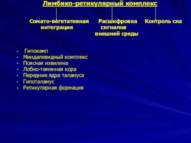 Лимбико-ретикулярный комплекс Сомато-вегетативная Расшифровка Контроль сна интеграция сигналов внешней среды