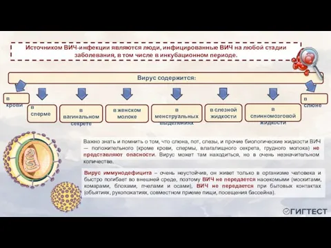 Вирус иммунодефицита – очень неустойчив, он живет только в организме