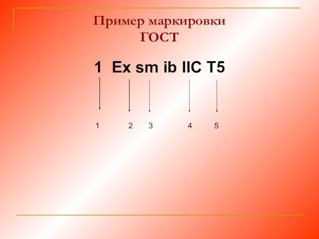 Пример маркировки ГОСТ 1 Ex sm ib IIC T5 1 2 3 4 5