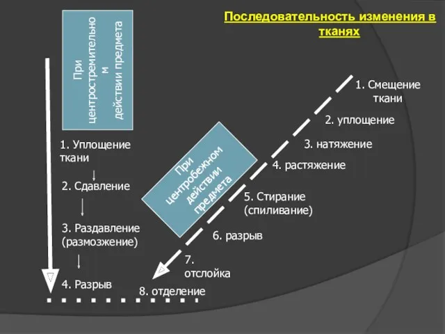 Последовательность изменения в тканях При центростремительном действии предмета 1. Уплощение