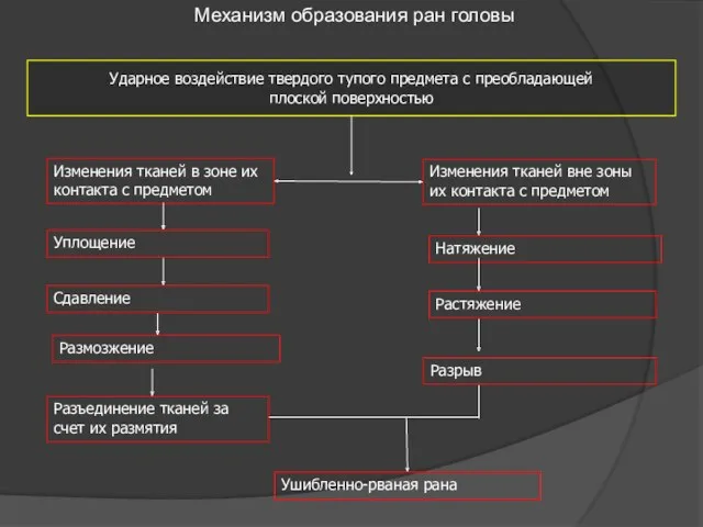 Механизм образования ран головы Ударное воздействие твердого тупого предмета с