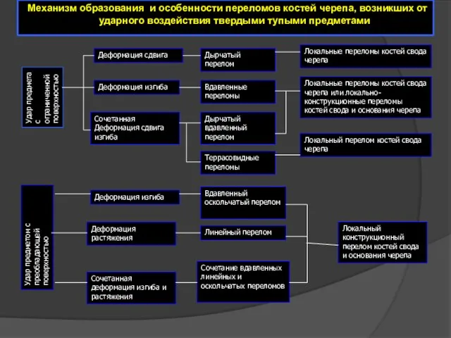 Механизм образования и особенности переломов костей черепа, возникших от ударного