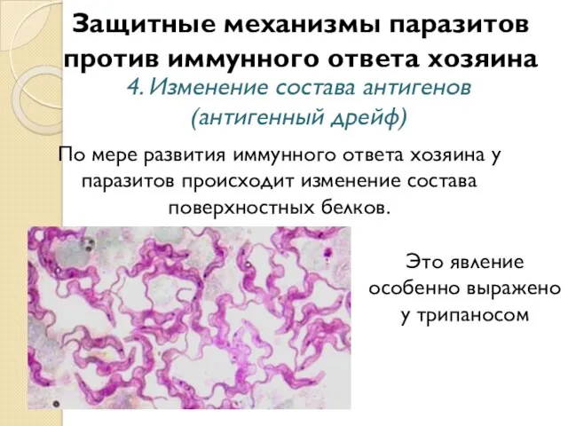 Защитные механизмы паразитов против иммунного ответа хозяина 4. Изменение состава