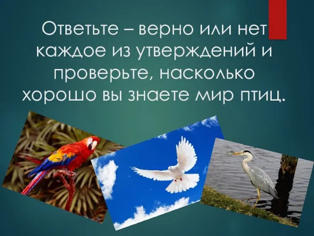 Ответьте – верно или нет каждое из утверждений и проверьте, насколько хорошо вы знаете мир птиц.