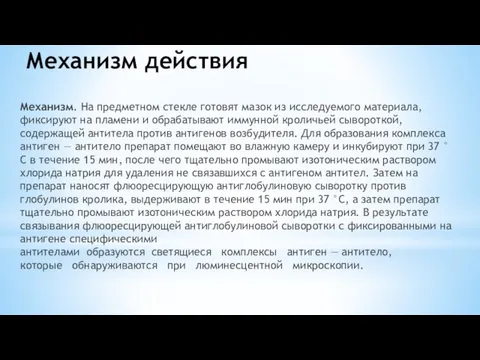 Механизм действия Механизм. На предметном стекле готовят мазок из исследуемого