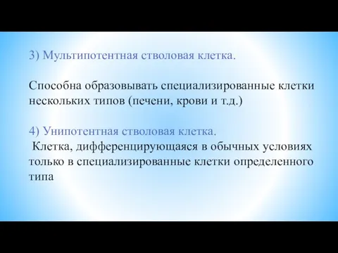 3) Мультипотентная стволовая клетка. Способна образовывать специализированные клетки нескольких типов