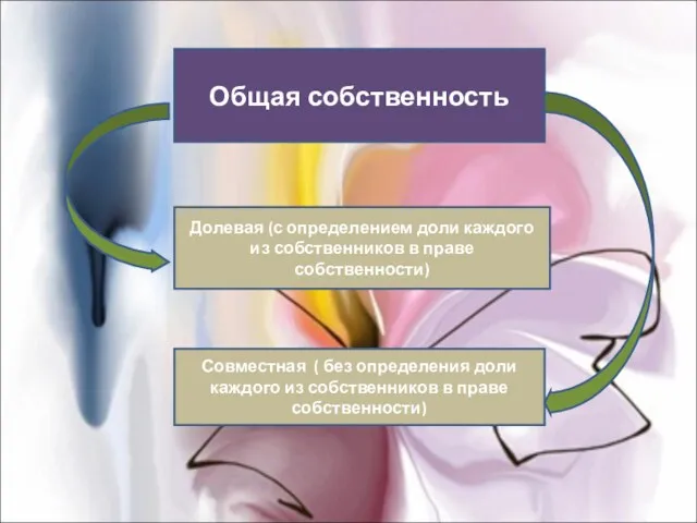 Общая собственность Долевая (с определением доли каждого из собственников в