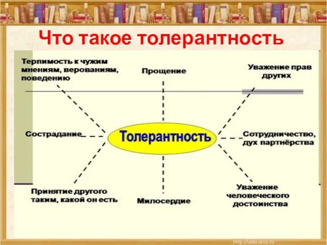 Что такое толерантность 26.11.2019