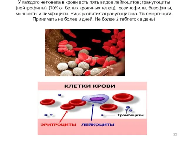 У каждого человека в крови есть пять видов лейкоцитов: гранулоциты (нейтрофилы), (70% от