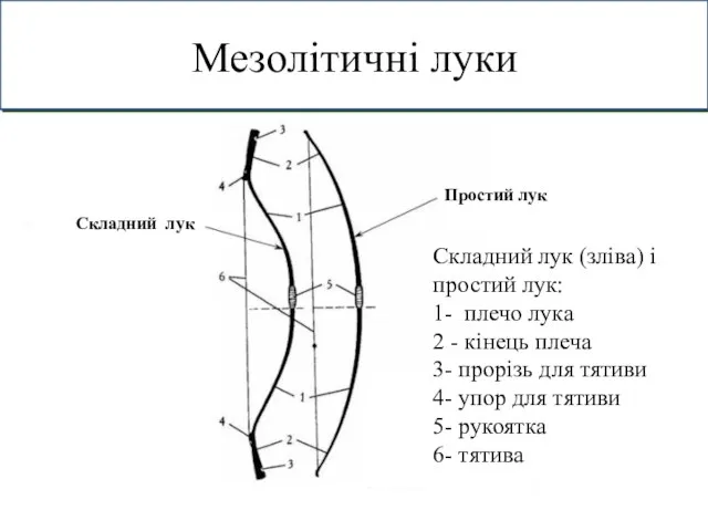 Мезолітичні луки Складний лук Простий лук Складний лук (зліва) і
