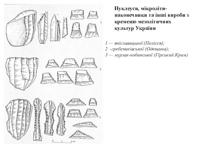 Нуклеуси, мікроліти-наконечники та інші вироби з кременю мезолітичних культур України