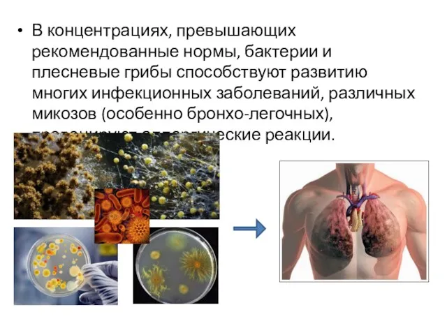 В концентрациях, превышающих рекомендованные нормы, бактерии и плесневые грибы способствуют